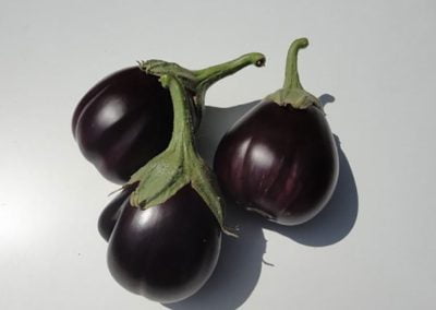 Μελιτζάνα φλάσκα