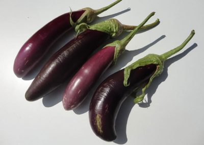 Μελιτζάνα μακρουλή