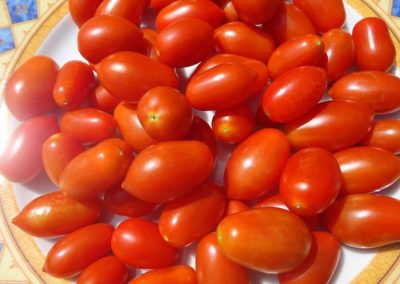 Ντοματάκι τύπου βελανίδι