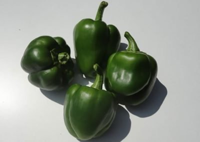 Πιπεριά φλάσκα