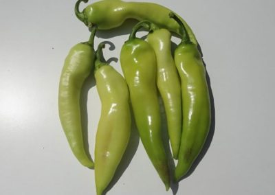 Πιπεριά κέρατο