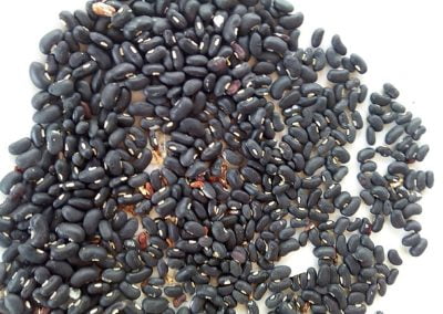 Αμπελοφάσουλα Κύπρου