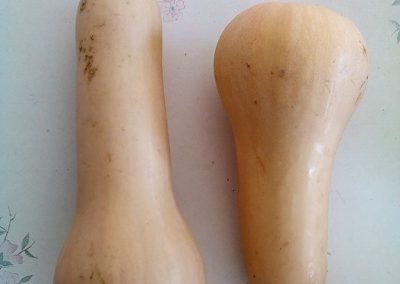 Κολοκύθα Μίνι