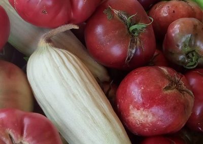 Ντομάτα τσερόκι [cherokee]