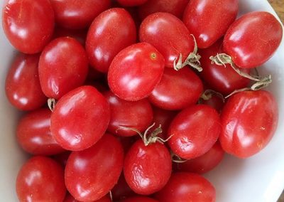 Ντοματάκι τύπου βελανίδι