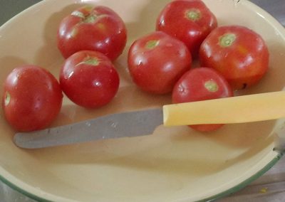 Ντοματάκι Άγ. Όρους