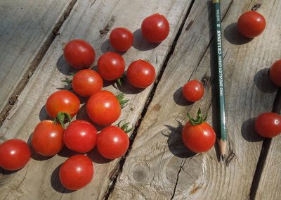 Ντοματάκι τύπου Σαντορίνης