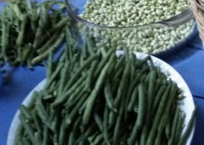 Αμπελοφάσουλα Λήμνου