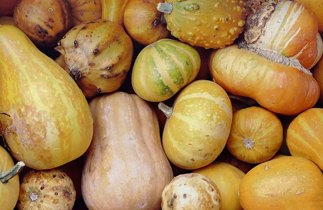 Νέα γενιά γενετικά τροποποιημένων οργανισμών: Ανοιχτή επιστολή προς τον κ. Υπουργό Περιβάλλοντος