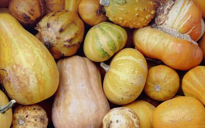 Νέα γενιά γενετικά τροποποιημένων οργανισμών: Ανοιχτή επιστολή προς τον κ. Υπουργό Περιβάλλοντος