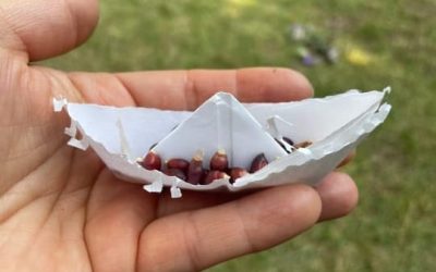 Διακήρυξη της Θεσσαλονίκης