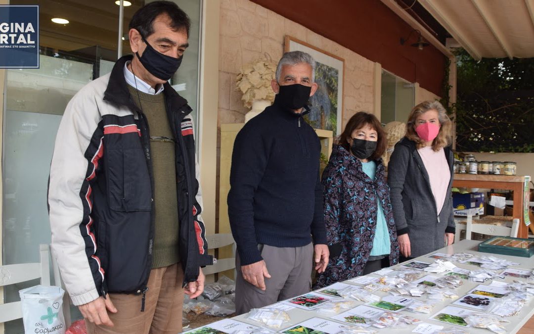 Για 17η συνεχή χρονιά πραγματοποιήθηκε από την ομάδα Σπορίτες Αίγινας δράση για τους παραδοσιακούς σπόρους.