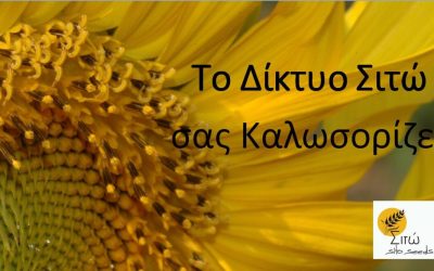 Παρουσίαση του δικτύου Σιτώ στο youtube