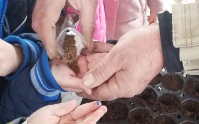 Γιορτή σποράς στην ΚοινΣΕπ Ένταξης ΑΡΓΩ στη Θεσσαλονίκη