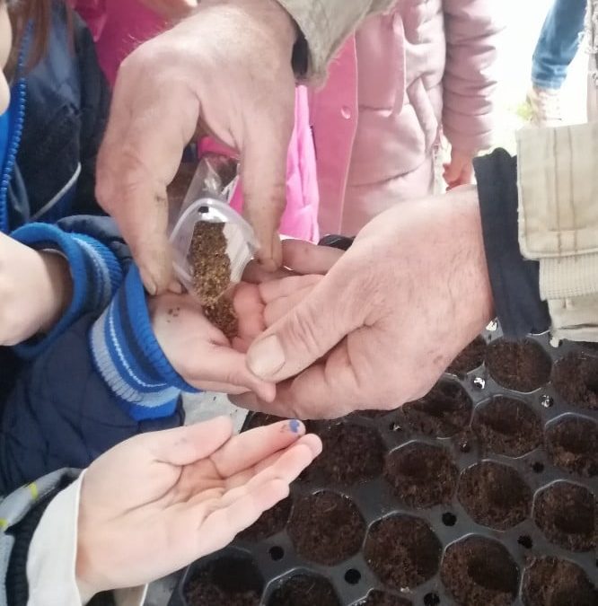 Γιορτή σποράς στην ΚοινΣΕπ Ένταξης ΑΡΓΩ στη Θεσσαλονίκη