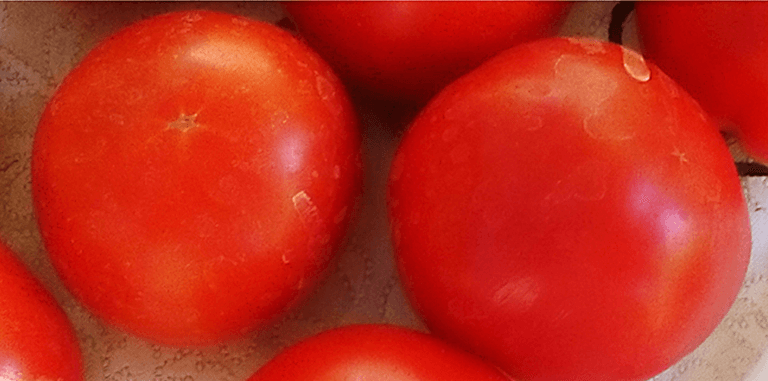 Rodopi-Ntomata-Kipourou