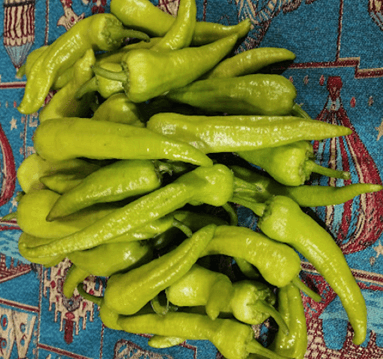 Rodopi-Piperia-Kerato-Kipourou