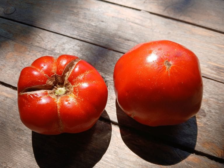 Rodopi_Ntomata-Maroneias