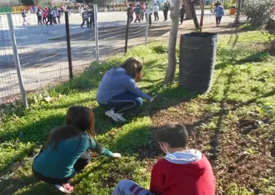 3rd primary school of Almyros garden