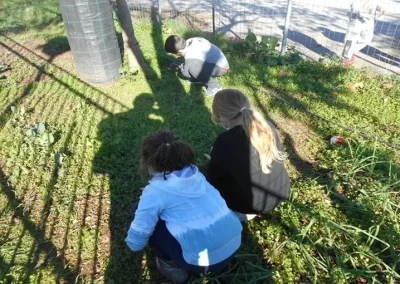 3rd primary school of Almyros garden