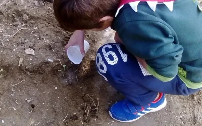 10 βήματα για τη δημιουργία σχολικού κήπου