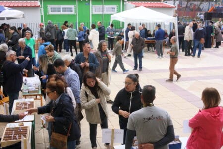 24th Festival in Komotin1_1