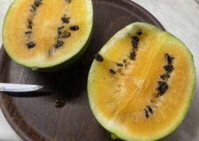 Καρπούζι Κίτρινο