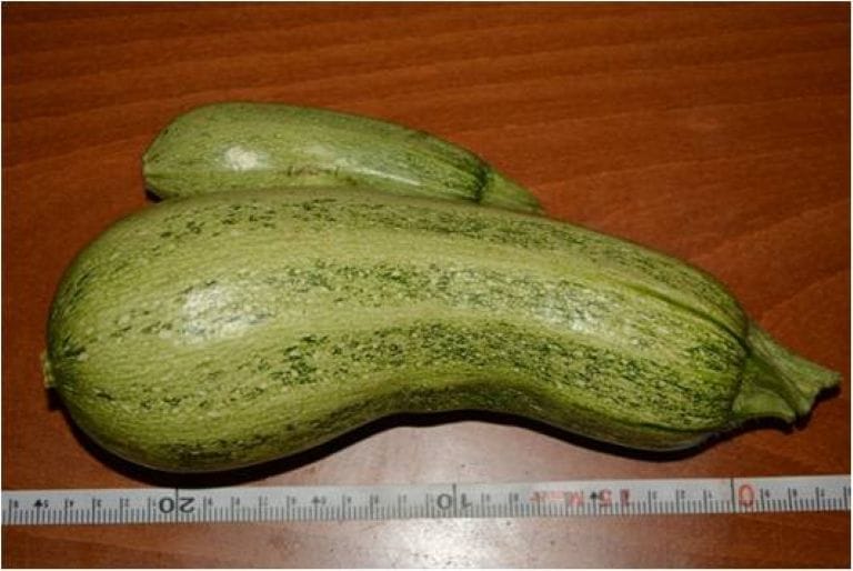 Rodopi Kolokithaki Mix Rodopi-Kolokithaki-Mix