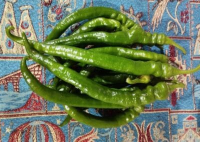 Πιπεριά Kέρατο Βεύης