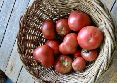 Ντομάτα Tσερόκι