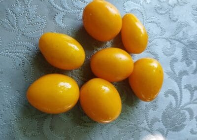 Ντοματάκι Ιάσμου