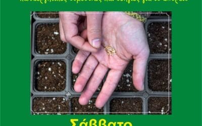 21η Δωρεάν Προσφορά Παραδοσιακών Σπόρων στην Αίγινα