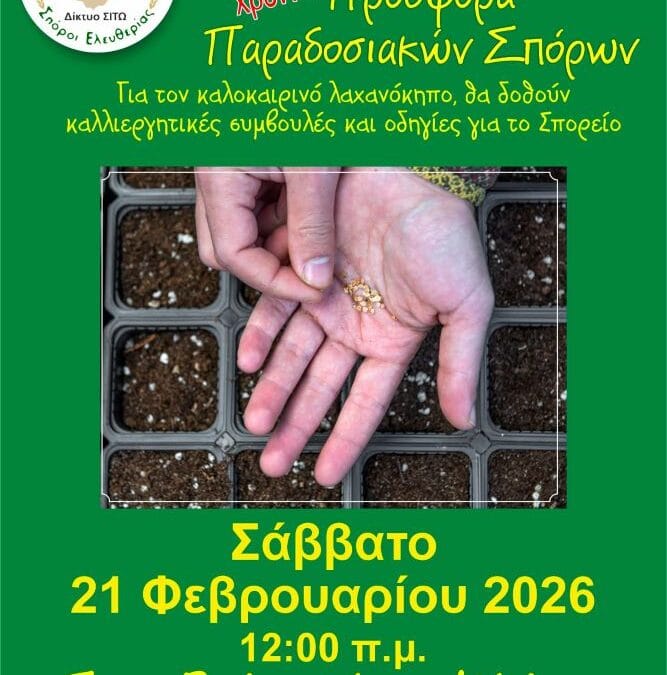 21η Δωρεάν Προσφορά Παραδοσιακών Σπόρων στην Αίγινα