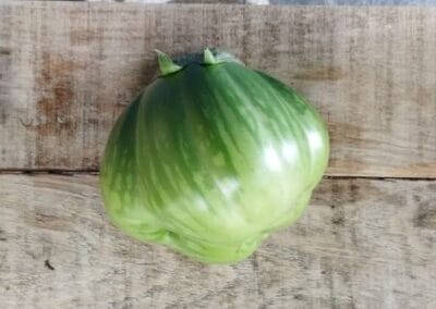 Μελιτζάνα Πράσινη Νάξου