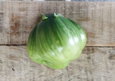 Rodopi_Melitzana-Prasini-Naxou