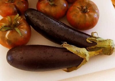 Μελιτζάνα Μαύρη Λακωνίας